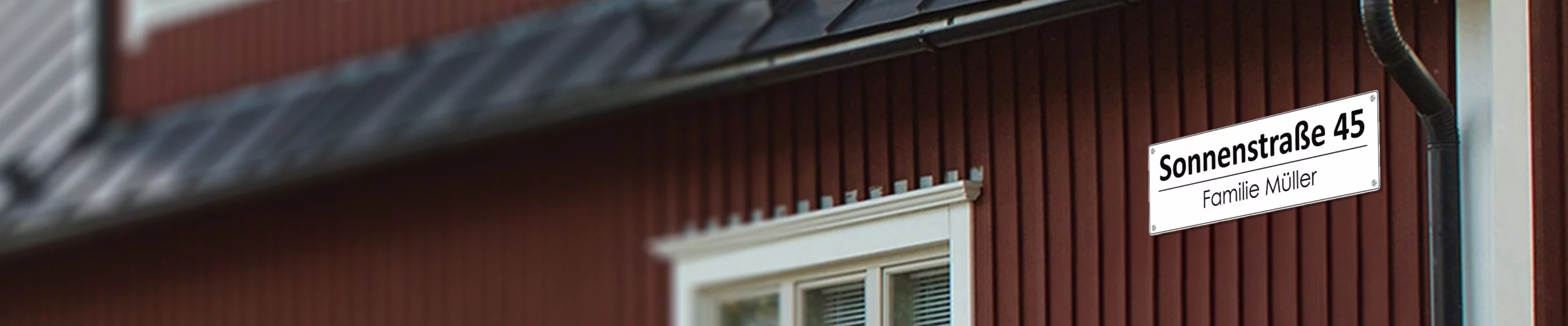 Large banner background image