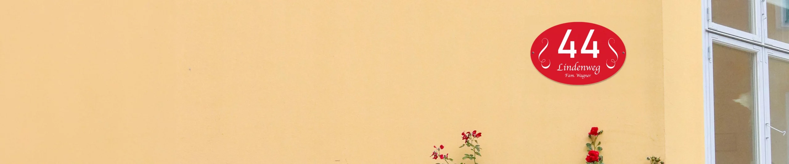 Large banner background image