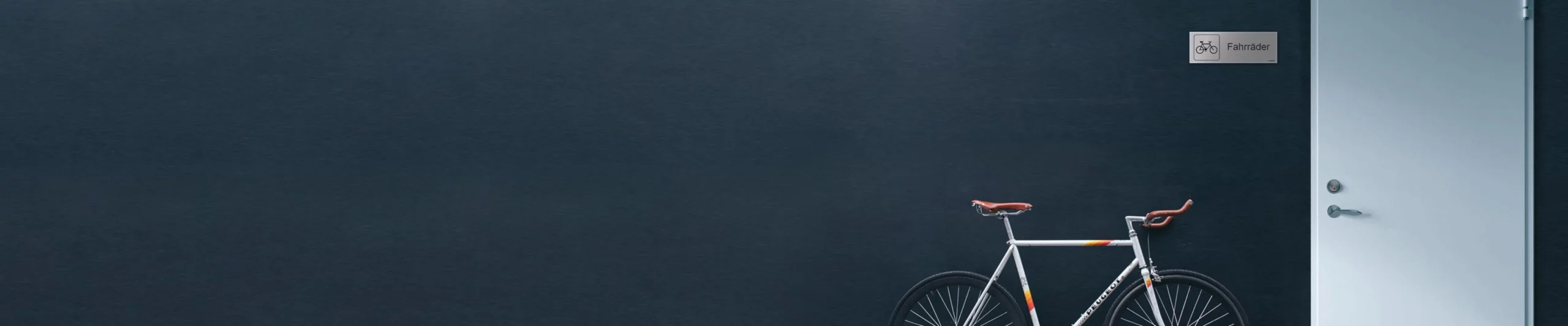 Large banner background image
