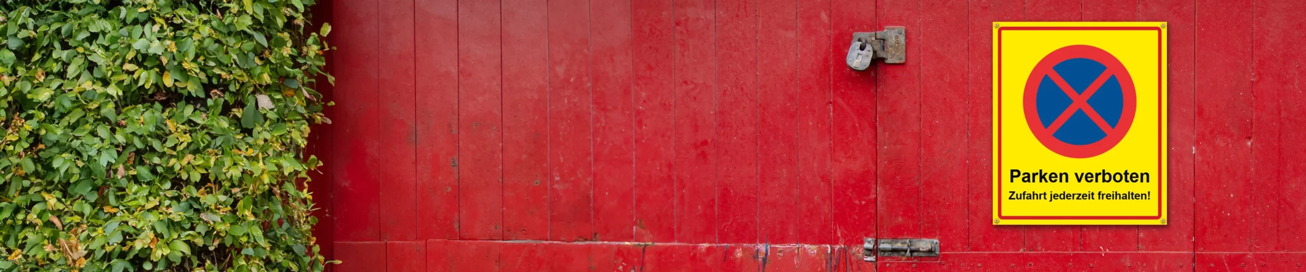 Large banner background image