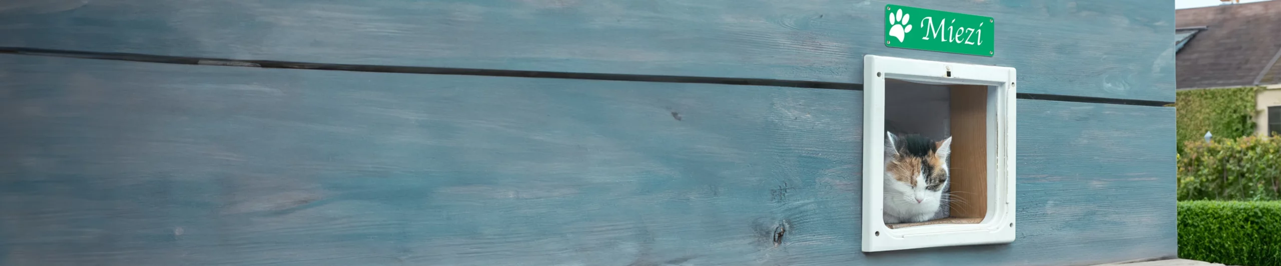 Large banner background image