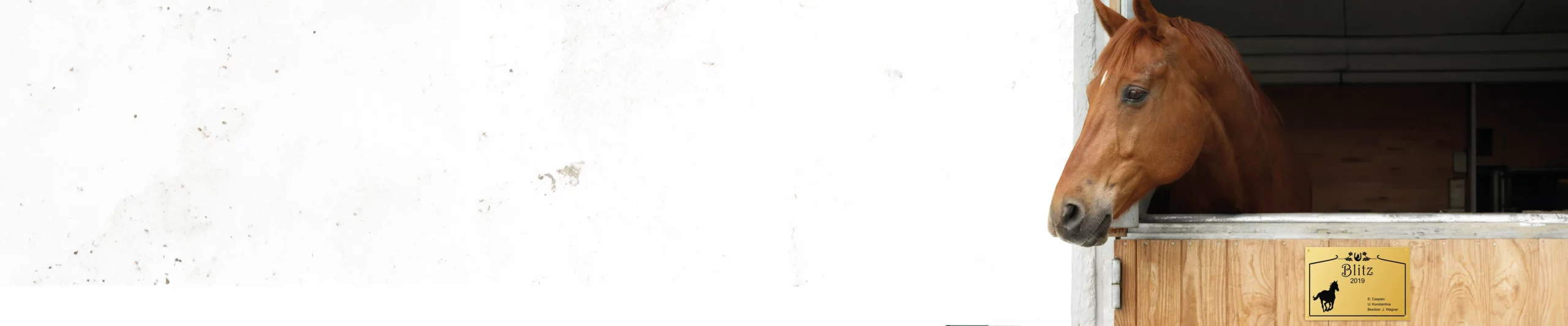 Large banner background image